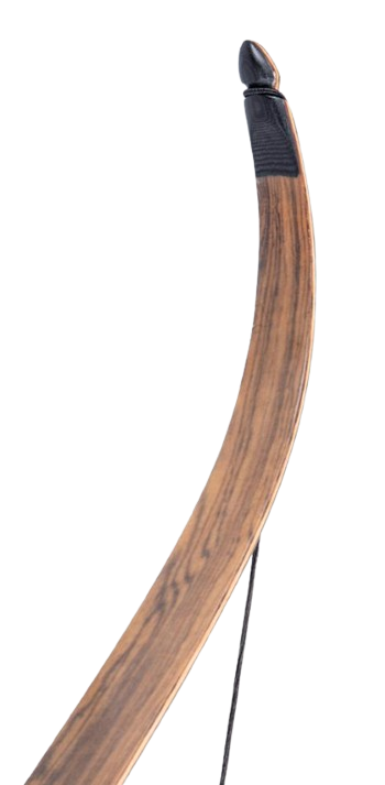 BUCK TRAIL ELITE TALON RECURVE 60"