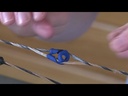 youtube - [Video]