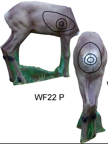 3D TARGET ROEDEER - BODY