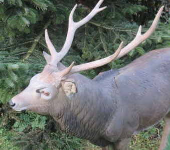 NATUR'FOAM 3D TARGET SIKA DEER - CERF SIKA