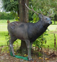 NATUR'FOAM 3D TARGET SIKA DEER - CERF SIKA