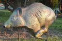 NATUR'FOAM 3D TARGET WILD BOAR RUNNING - SANGLIER COURANT