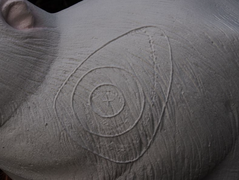 NATUR'FOAM 3D TARGET BEAVER-RAGONDIN