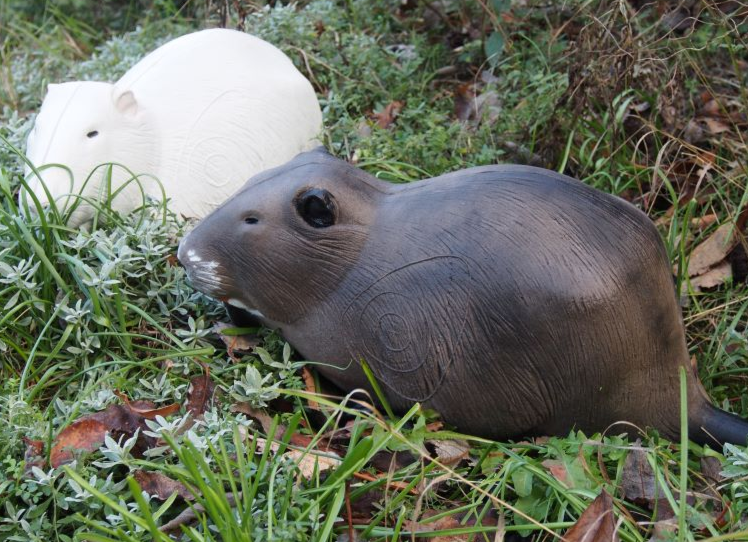 NATUR'FOAM 3D TARGET BEAVER-RAGONDIN