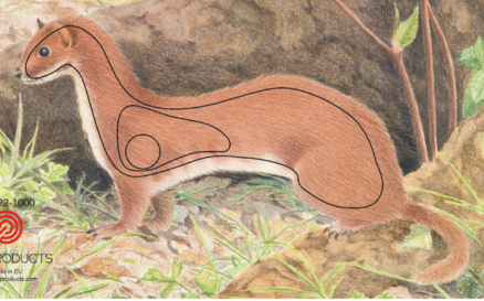 JVD PRODUCTS BLASON ERMINE