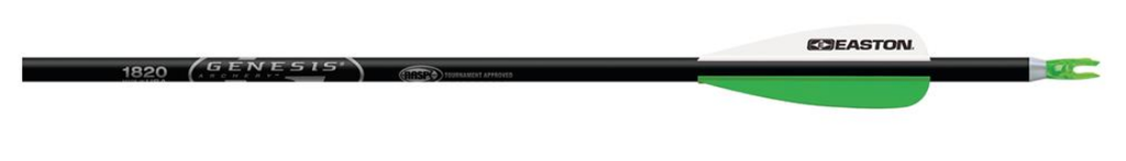 EASTON ARROWS GENESIS NASP 3"VANES 1820 WITH POINT 6PK