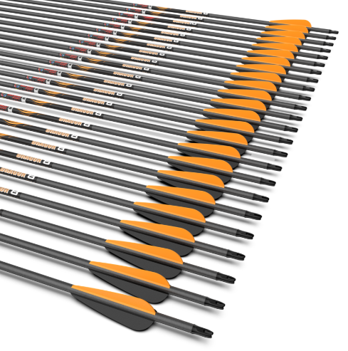 SANLIDA ARROWS CARBON DRAGON 8 6.2MM WITH 4" VANES /24