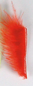 GATEWAY TRACER FEATHERS 12PK