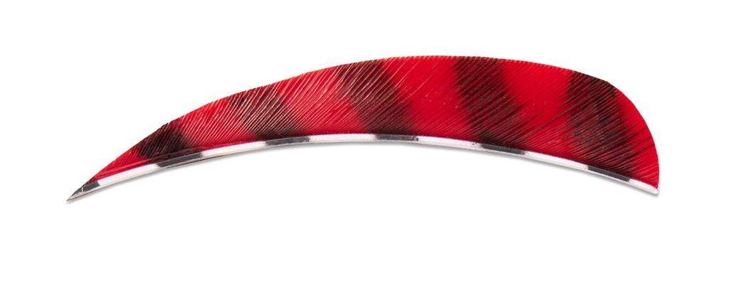 BUCK TRAIL 4" RW BARRED ROUND FEATHERS 100PK