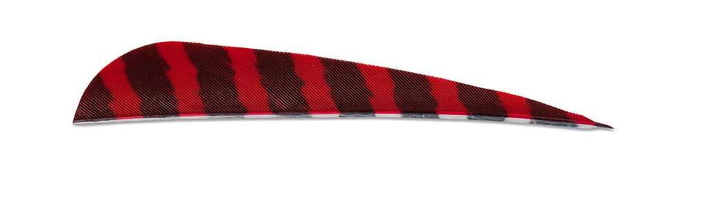 SKYLON 5" RW BARRED ROUND FEATHERS 24PK