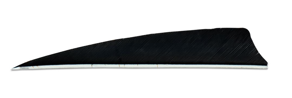 SKYLON 4" RW SHIELD FEATHERS 24PK