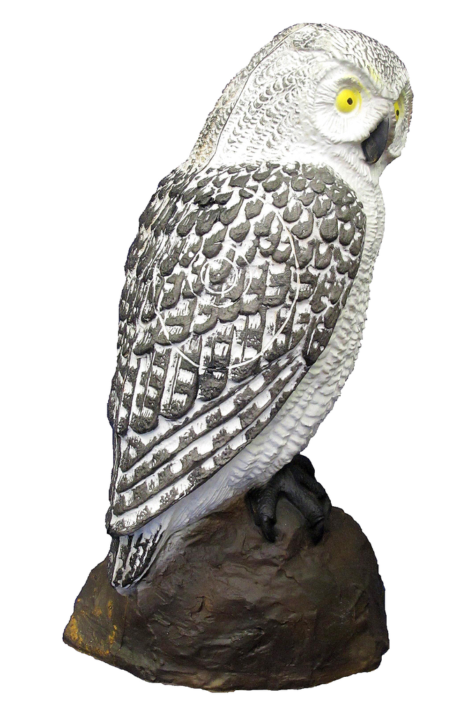 SRT 3D TARGET OWL SCREECH - CHOUETTE