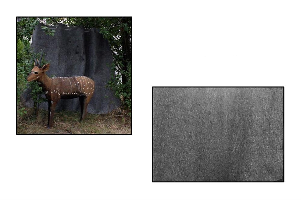 BACKSTOP MAT MAX SAFE - 5x2M