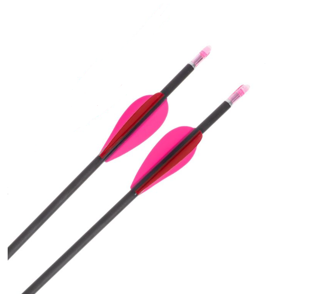 AVALON ARROWS CARBON TYRO 4.2 2"VANES /PIN NOCK POINT /36