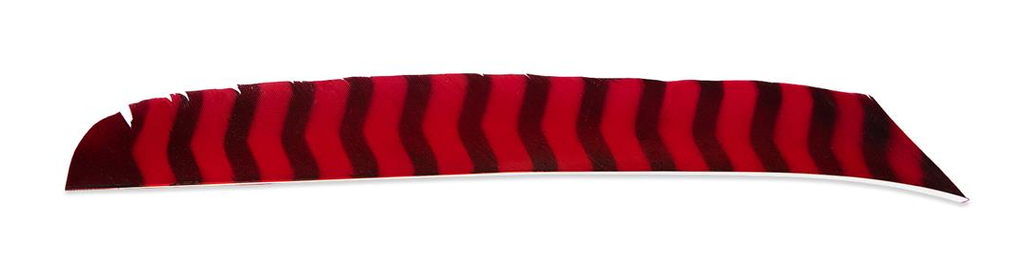 BUCK TRAIL FULL LENGTH LW BARRED FEATHERS 100PK