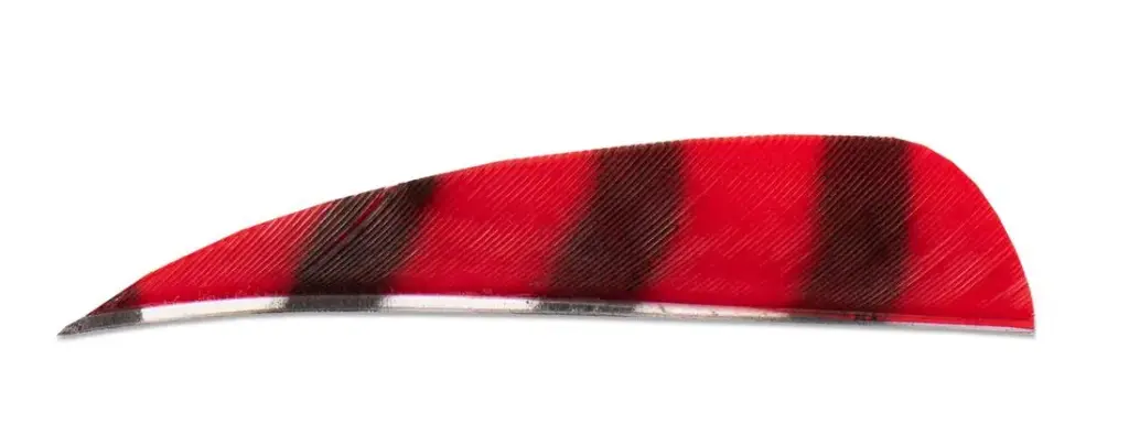 BUCK TRAIL 3" LW BARRED ROUND FEATHERS