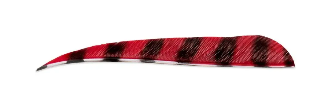 BUCK TRAIL 5" RW BARRED ROUND FEATHERS