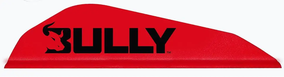 EASTON BULLY BOATTAIL VANES 2"