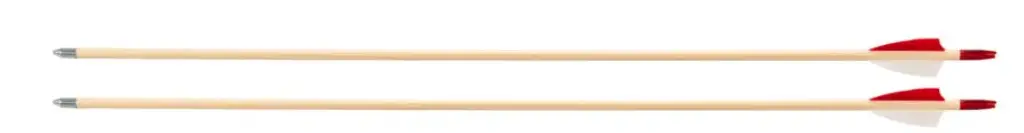 BUCK TRAIL WOODEN ARROWS SPRUCE KIDS 5/16" FEATHER/NOCK/STEEL POINT /12
