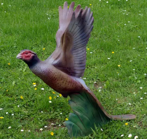 NATUR'FOAM PHEASANT SOARING - ENVOL FAISAN 