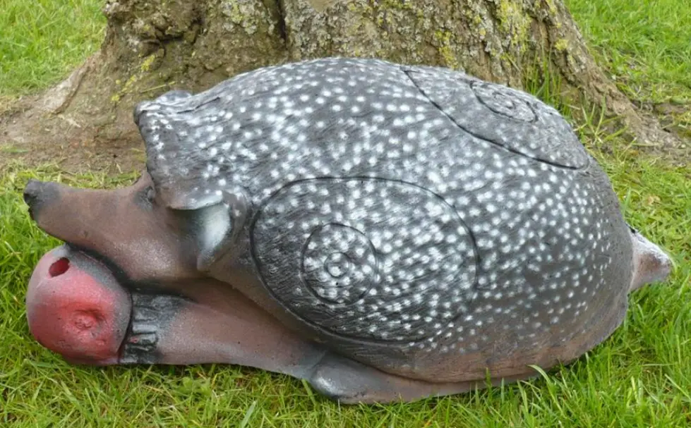 WILD LIFE 3D TARGET HEDGEHOG - HERISSON