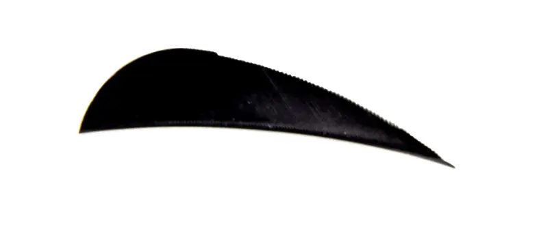 AVALON 2.5" 50/PK RW ROUND FEATHERS