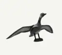 BEARPAW CIBLE 3D FRANZBOGEN FLYING GREY GOOSE