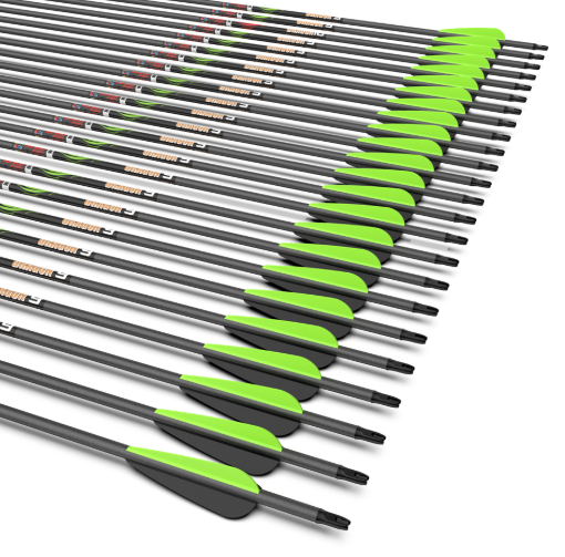 [A081151] SANLIDA ARROWS CARBON DRAGON 9 6.2MM WITH 4" VANES /24