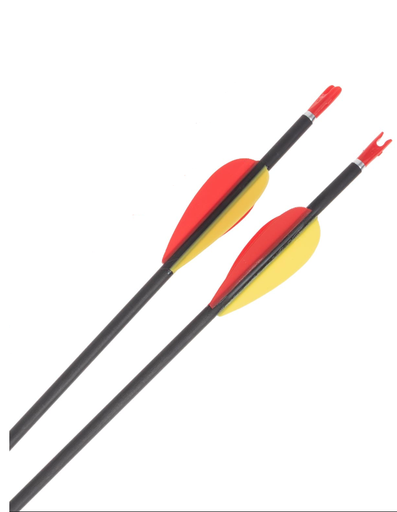 AVALON ARROWS CARBON TYRO 4.2 2"VANES /PIN NOCK POINT /36