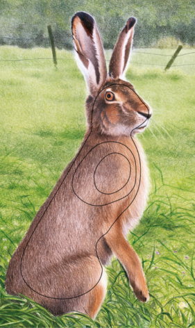 [102827] JVD PRODUCTS BLASON LIEVRE