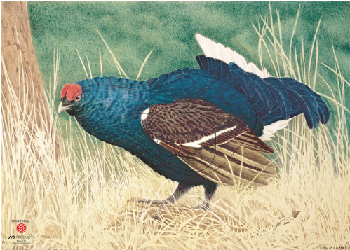 [102829] JVD PRODUCTS BLASON COQ DE BRUYERE