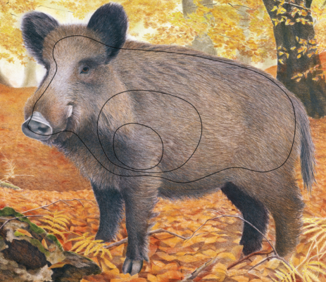 [102833] JVD PRODUCTS BLASON SANGLIER