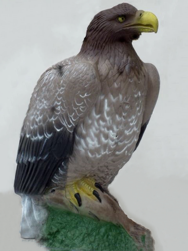 [A046856] NATUR'FOAM 3D TARGET EAGLE - AIGLE