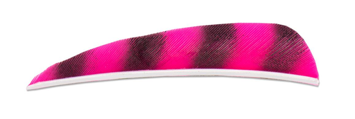 BUCK TRAIL 3" LW BARRED ROUND FEATHERS