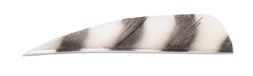 BUCK TRAIL 3" RW BARRED ROUND FEATHERS