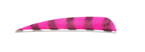 BUCK TRAIL 4" LW BARRED ROUND FEATHERS