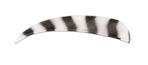 BUCK TRAIL 4" RW BARRED ROUND FEATHERS