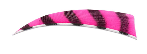 BUCK TRAIL 5" RW BARRED SHIELD FEATHERS