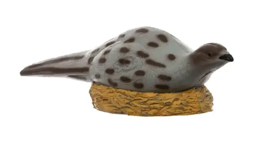 [A096018] BEIER CIBLE 3D PHEASANT - FAISAN