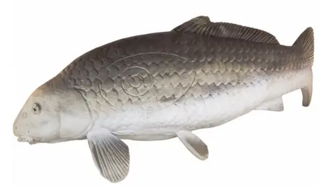 [106230] ELEVEN 3D TARGET CARP - CARPE