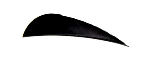 AVALON 2.5" 50/PK RW ROUND FEATHERS