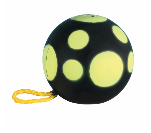 [107655-1000] RINEHART CIBLE PORTABLE 3D RFT FIELD