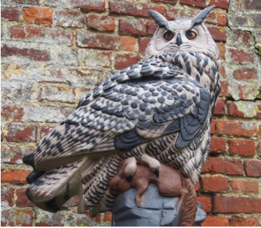 [A001723] NATUR'FOAM 3D TARGET OWL WITH PREY - GRAND DUC ET ECUREUIL