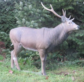 [A001702] NATUR'FOAM 3D TARGET SIKA DEER - CERF SIKA