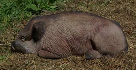 [A001675] NATUR'FOAM 3D TARGET WILD BOAR LYING - SANGLIER COUCHE